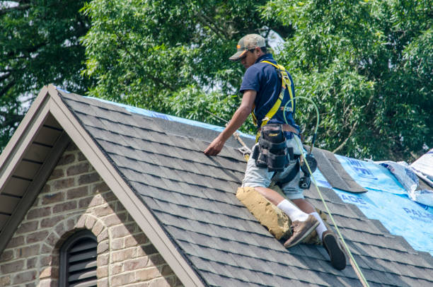 Quick and Trustworthy Emergency Roof Repair Services in Norwood Young America, MN